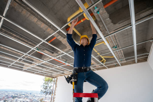 Best Emergency Plumber  in Lansing, MI
