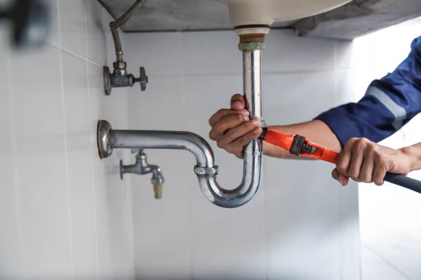 Best Affordable Plumbing Services  in Lansing, MI
